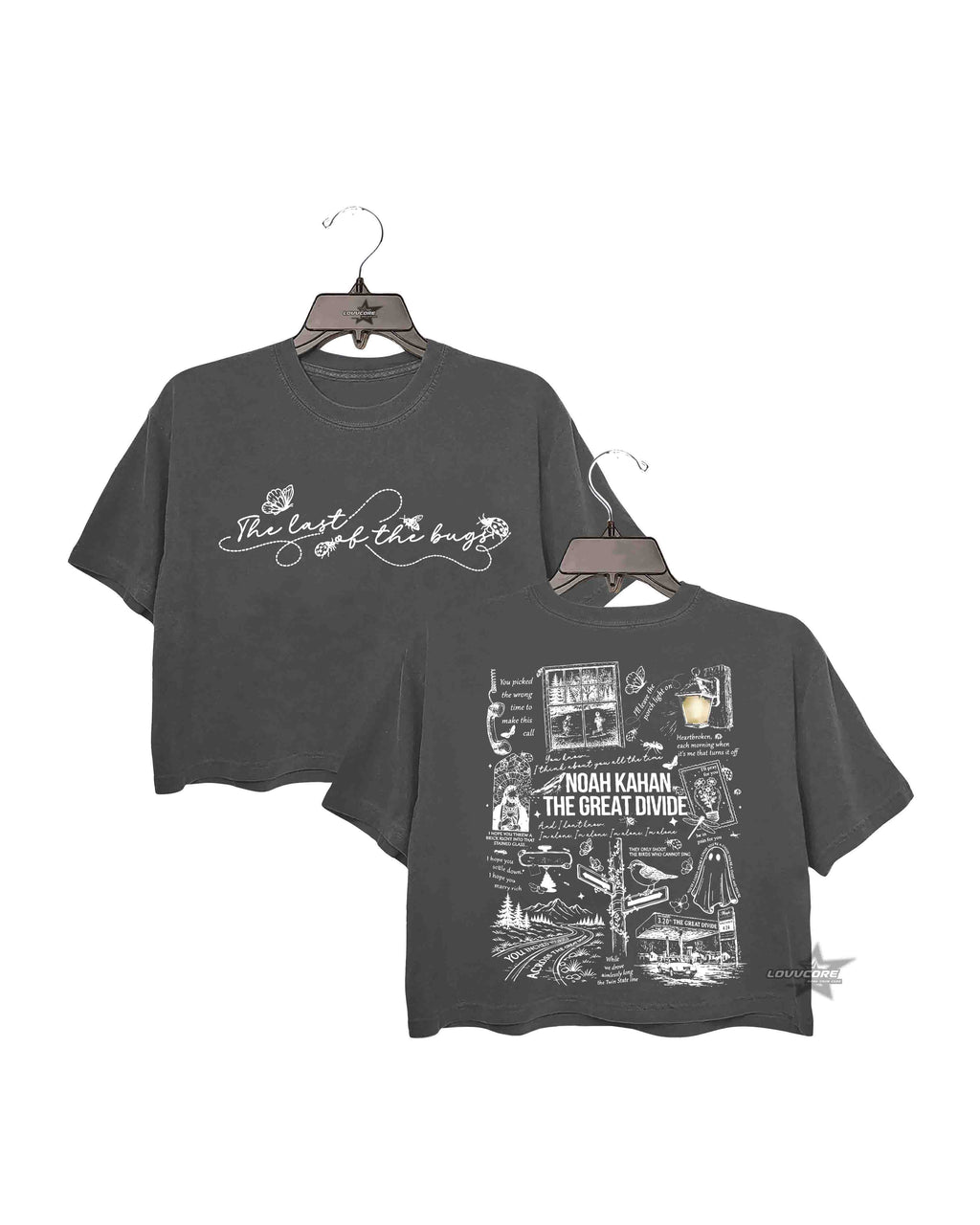 The Divide Vintage Music 2026 Crop Tee